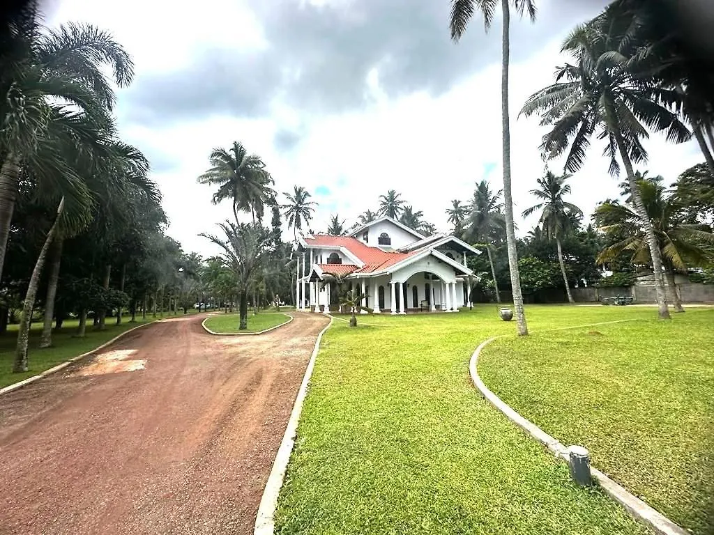 Villa Di Angelo 니곰보 0*,