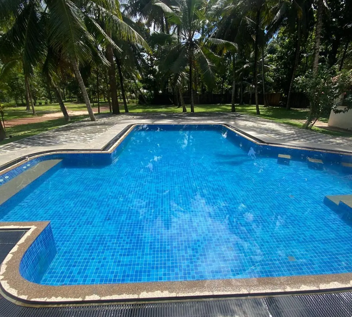Villa Di Angelo 니곰보 B&B